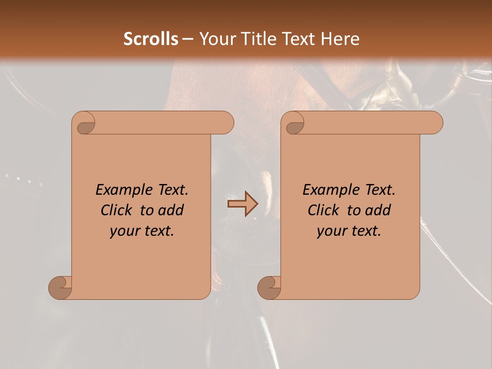 Saddle Equine Boots PowerPoint Template