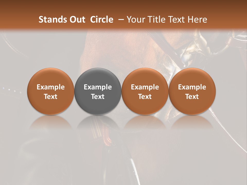 Saddle Equine Boots PowerPoint Template