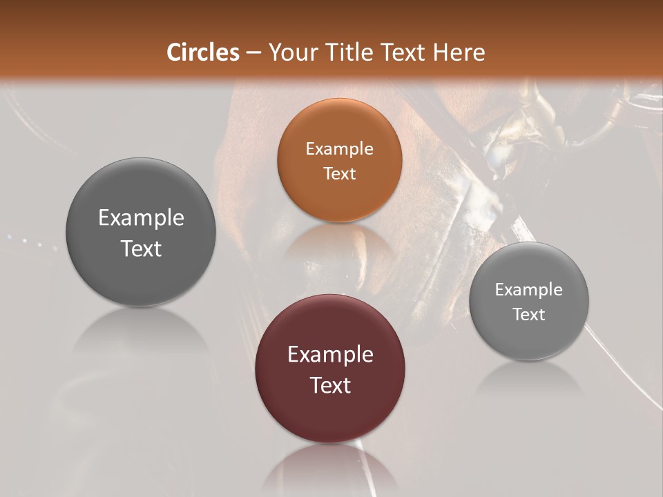 Saddle Equine Boots PowerPoint Template