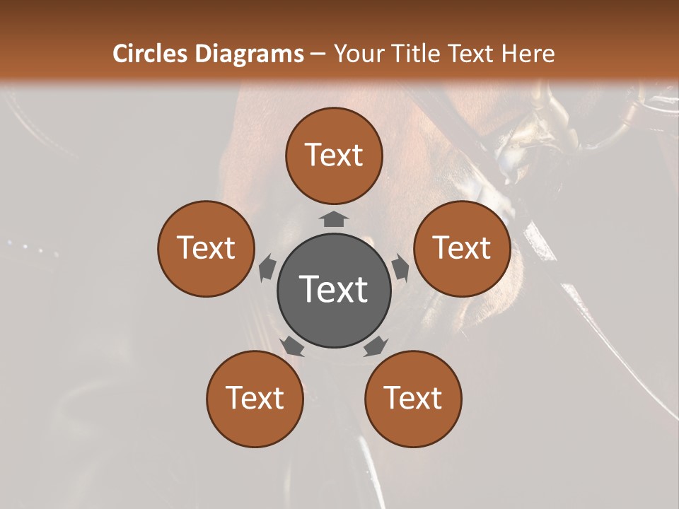 Saddle Equine Boots PowerPoint Template