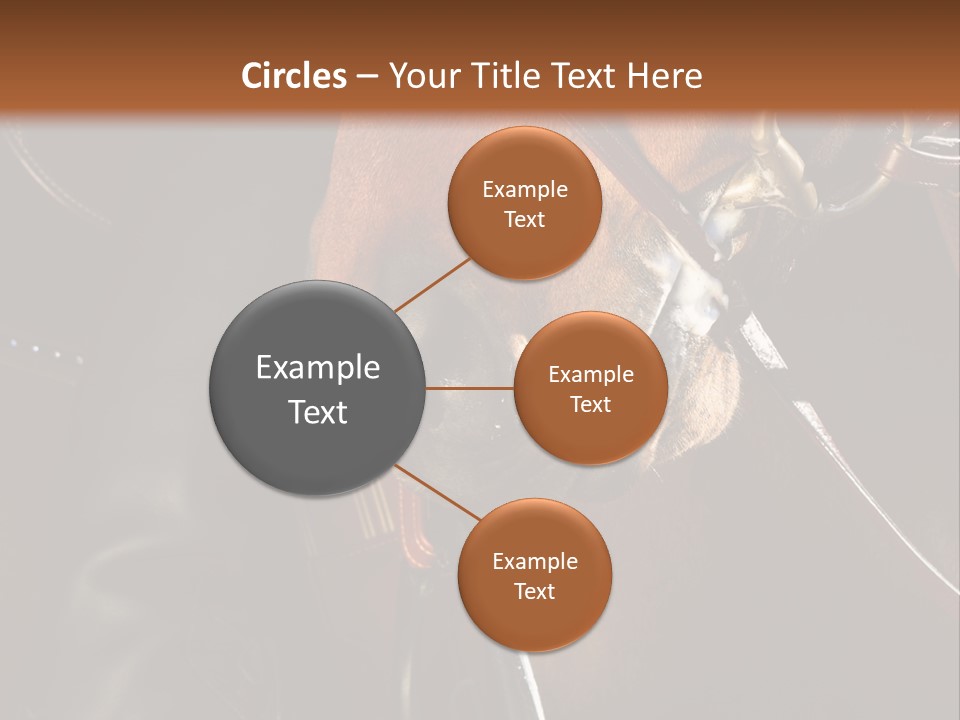 Saddle Equine Boots PowerPoint Template