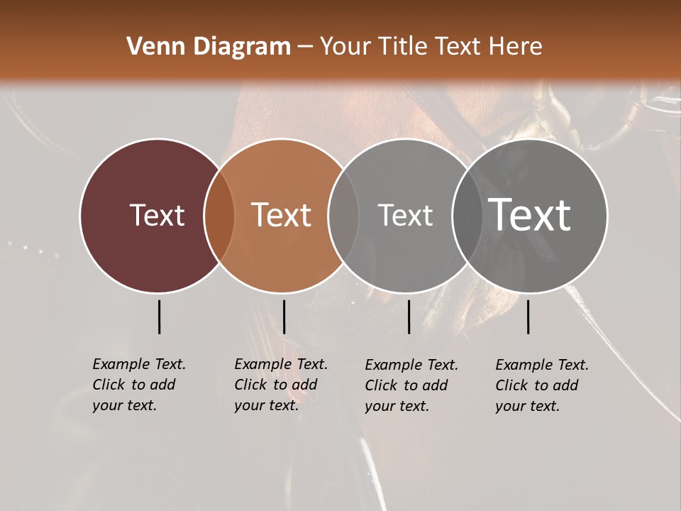 Saddle Equine Boots PowerPoint Template