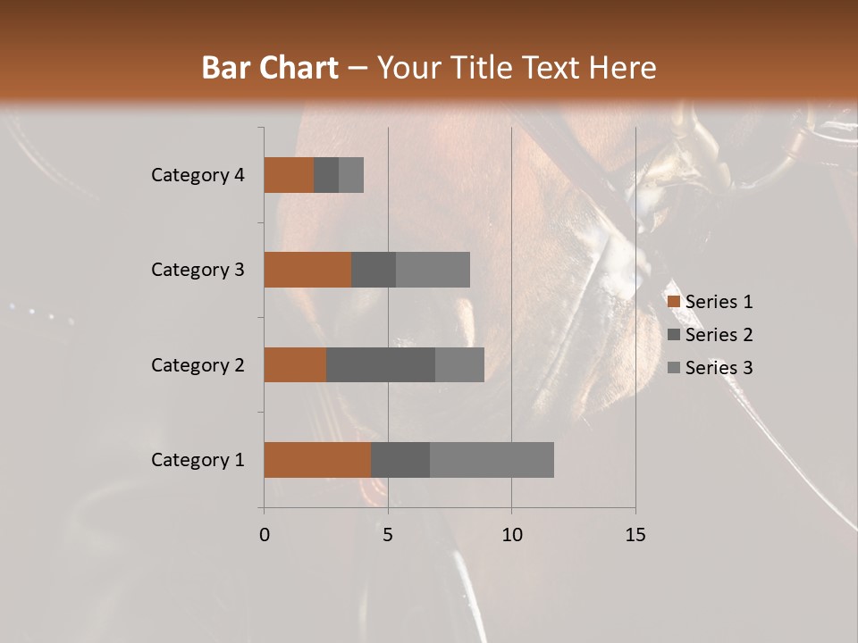 Saddle Equine Boots PowerPoint Template