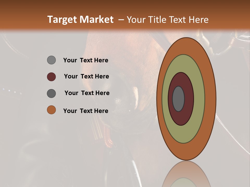 Saddle Equine Boots PowerPoint Template