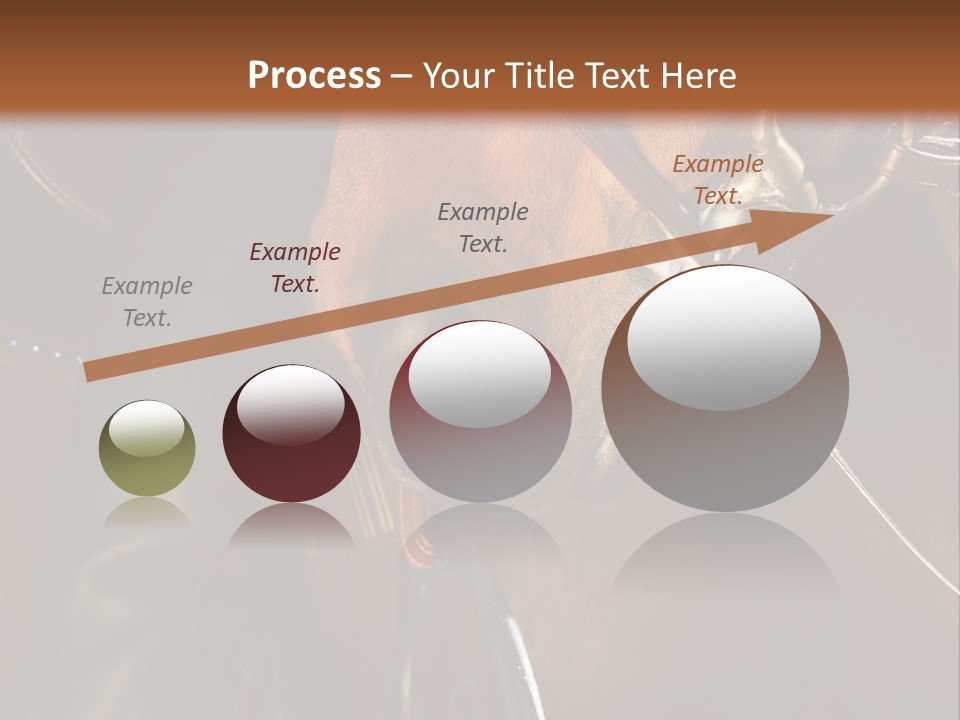 Saddle Equine Boots PowerPoint Template