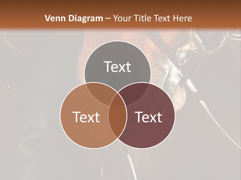 Saddle Equine Boots PowerPoint Template