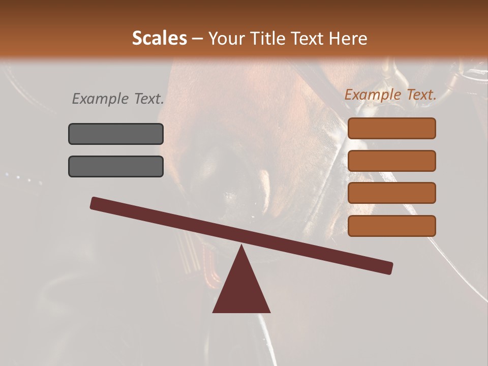Saddle Equine Boots PowerPoint Template