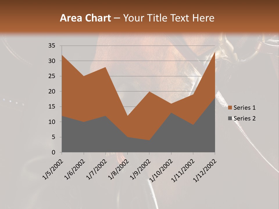 Saddle Equine Boots PowerPoint Template