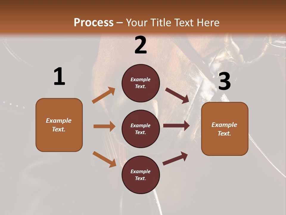 Saddle Equine Boots PowerPoint Template
