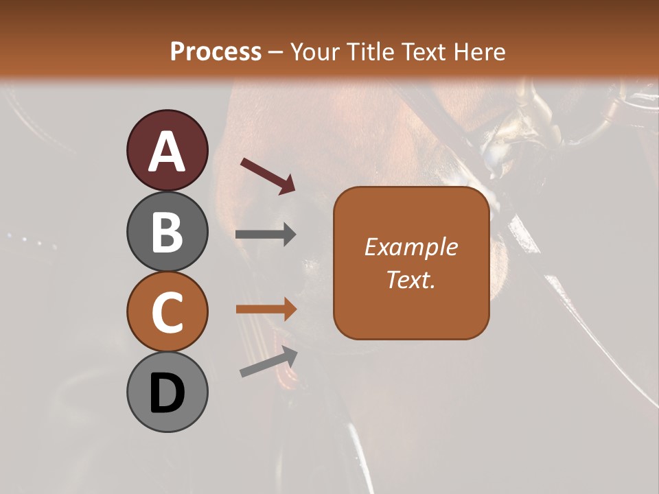 Saddle Equine Boots PowerPoint Template