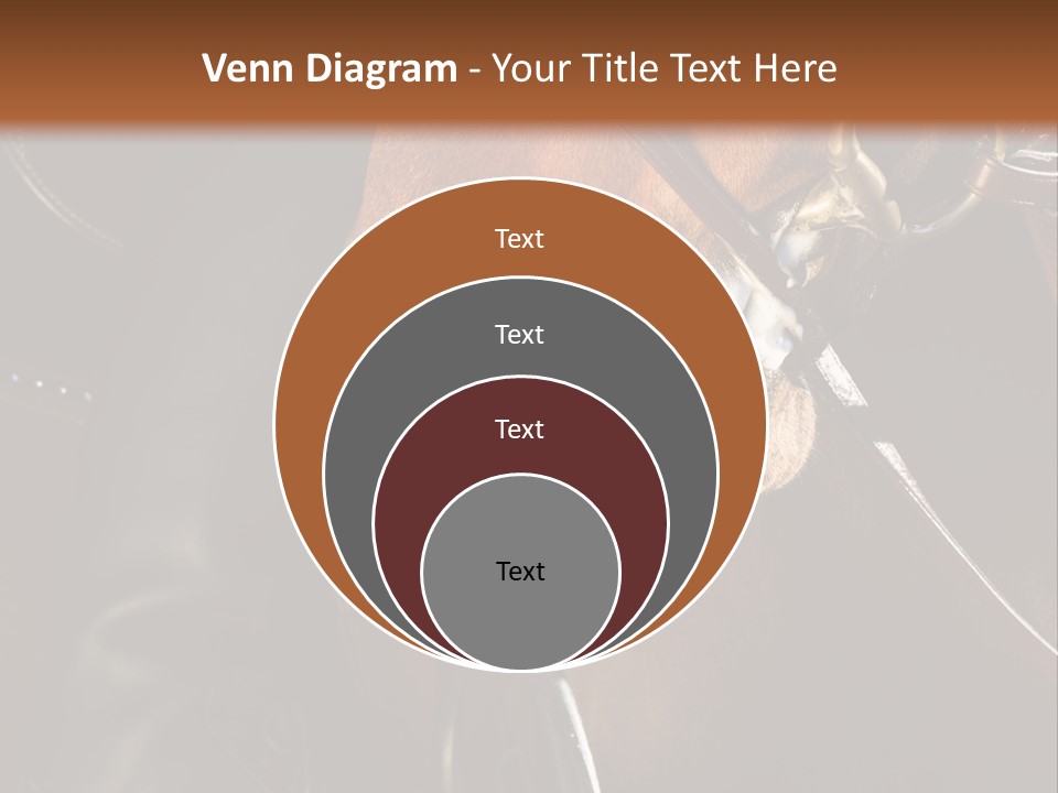 Saddle Equine Boots PowerPoint Template