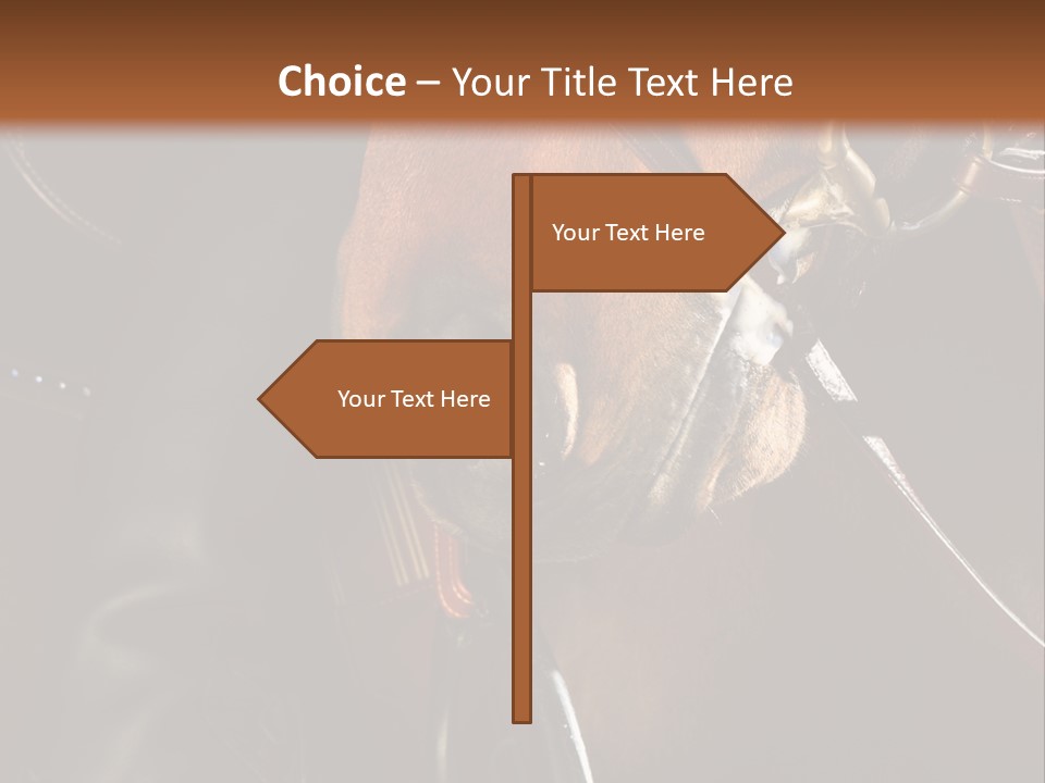 Saddle Equine Boots PowerPoint Template