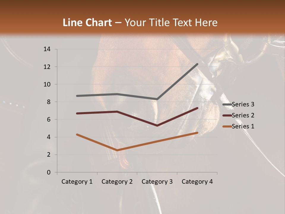 Saddle Equine Boots PowerPoint Template