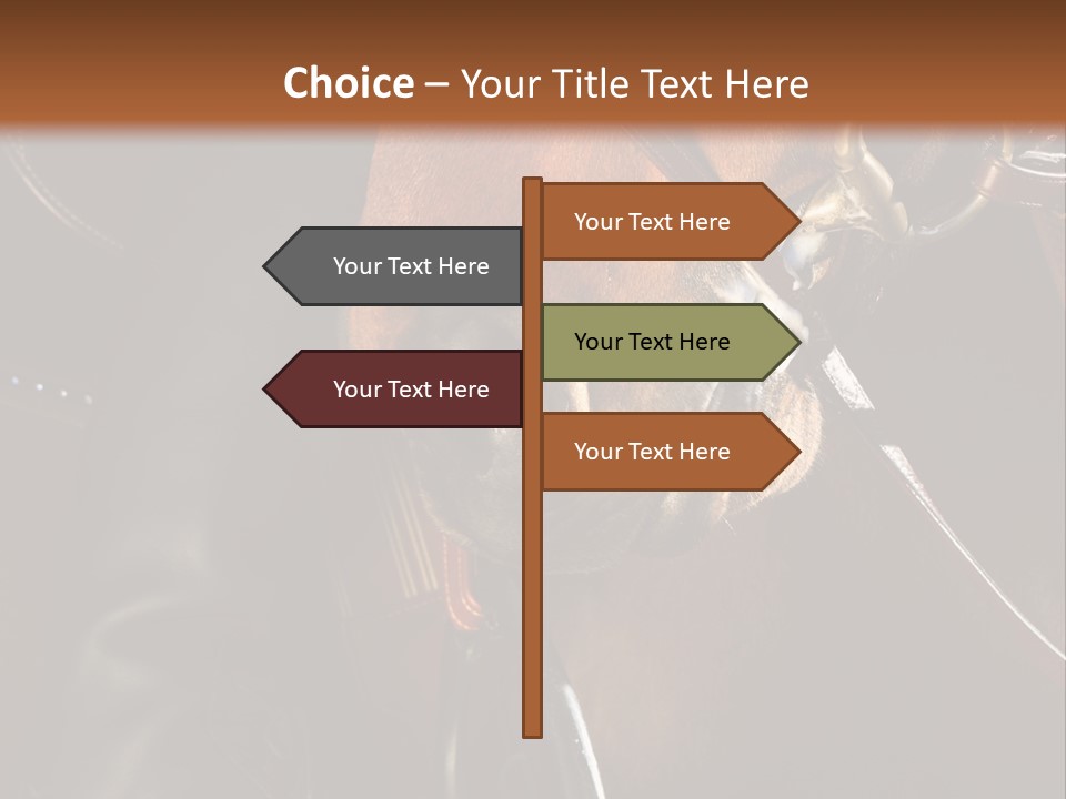 Saddle Equine Boots PowerPoint Template