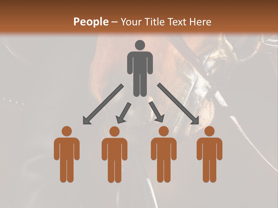 Saddle Equine Boots PowerPoint Template