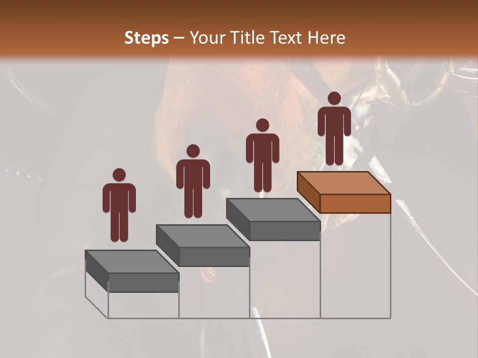 Saddle Equine Boots PowerPoint Template