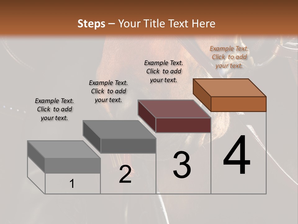 Saddle Equine Boots PowerPoint Template