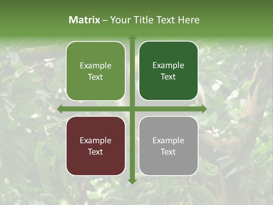 Cute Tree Rare PowerPoint Template