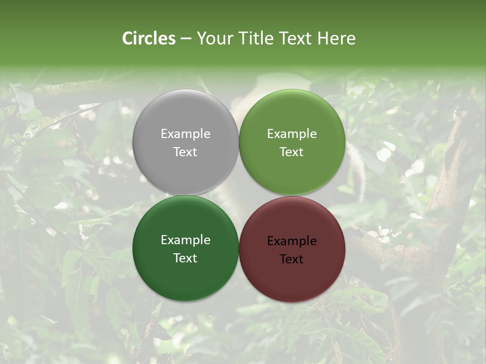 Cute Tree Rare PowerPoint Template