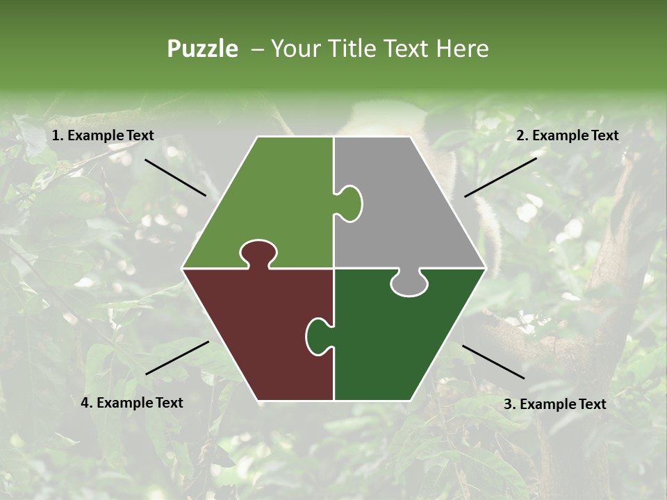 Cute Tree Rare PowerPoint Template