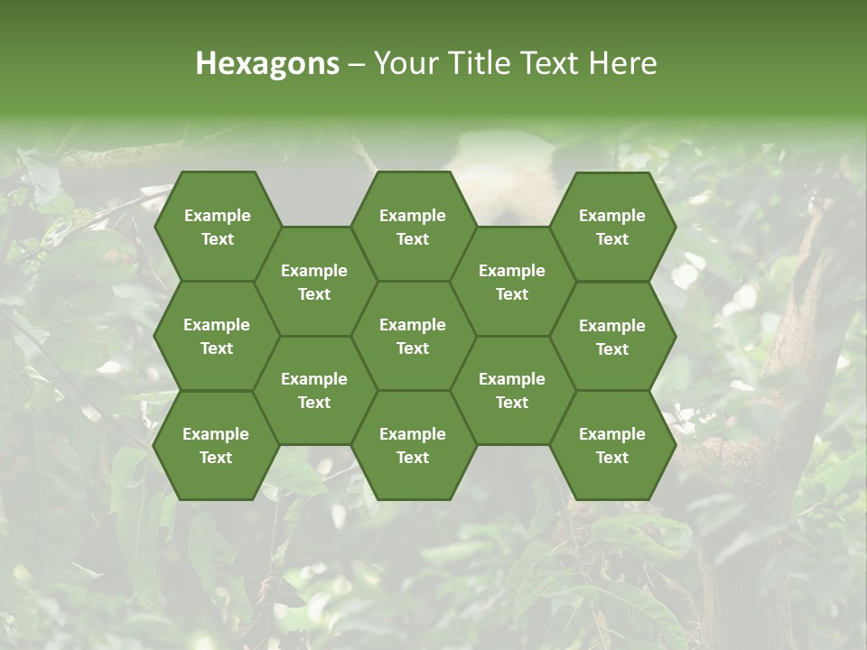 Cute Tree Rare PowerPoint Template