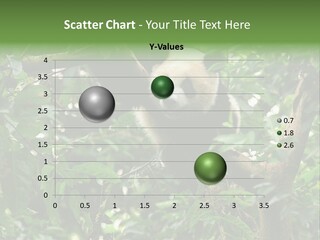 Cute Tree Rare PowerPoint Template