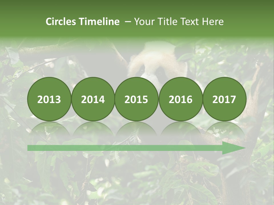 Cute Tree Rare PowerPoint Template