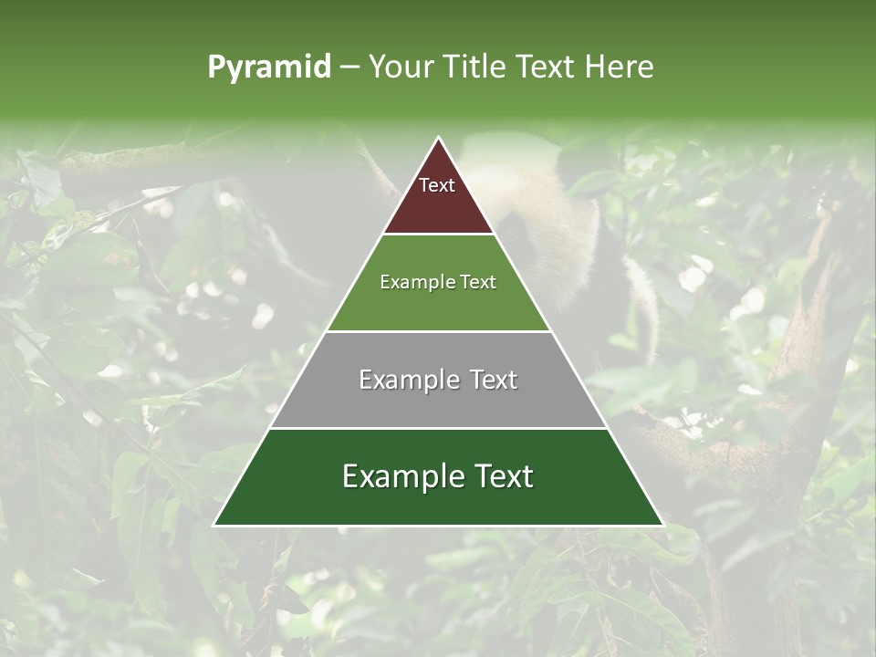 Cute Tree Rare PowerPoint Template