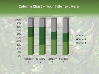 Cute Tree Rare PowerPoint Template