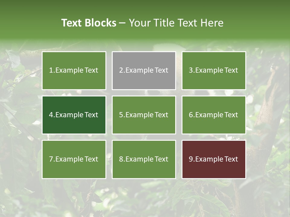 Cute Tree Rare PowerPoint Template