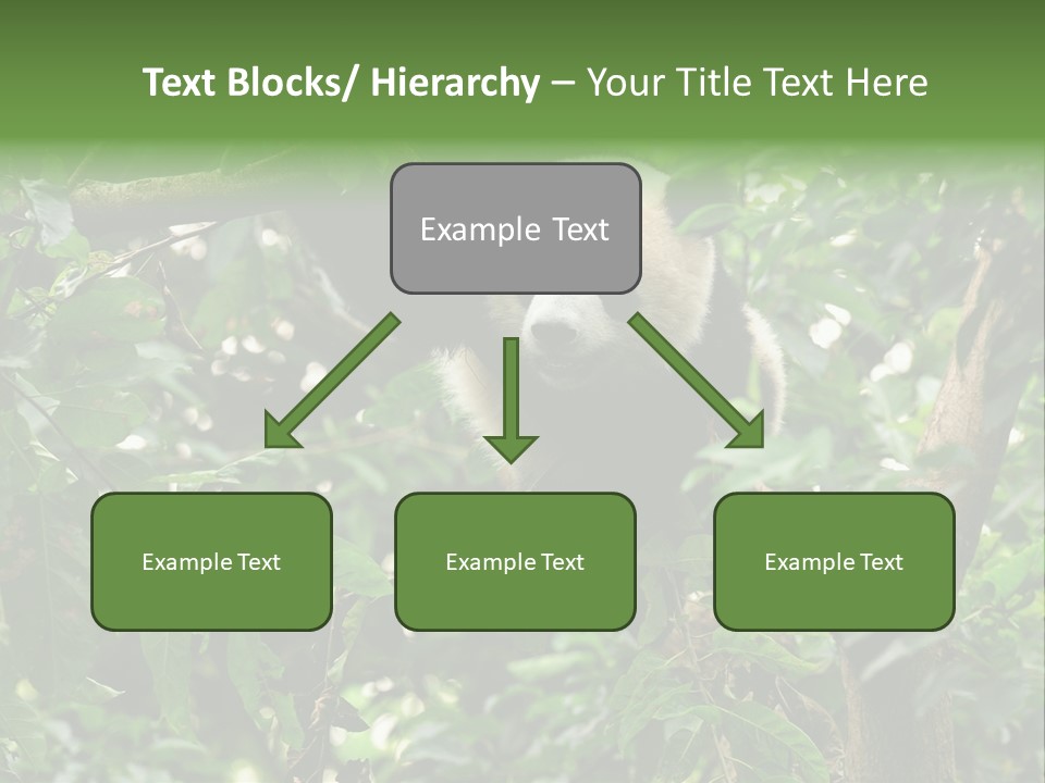Cute Tree Rare PowerPoint Template