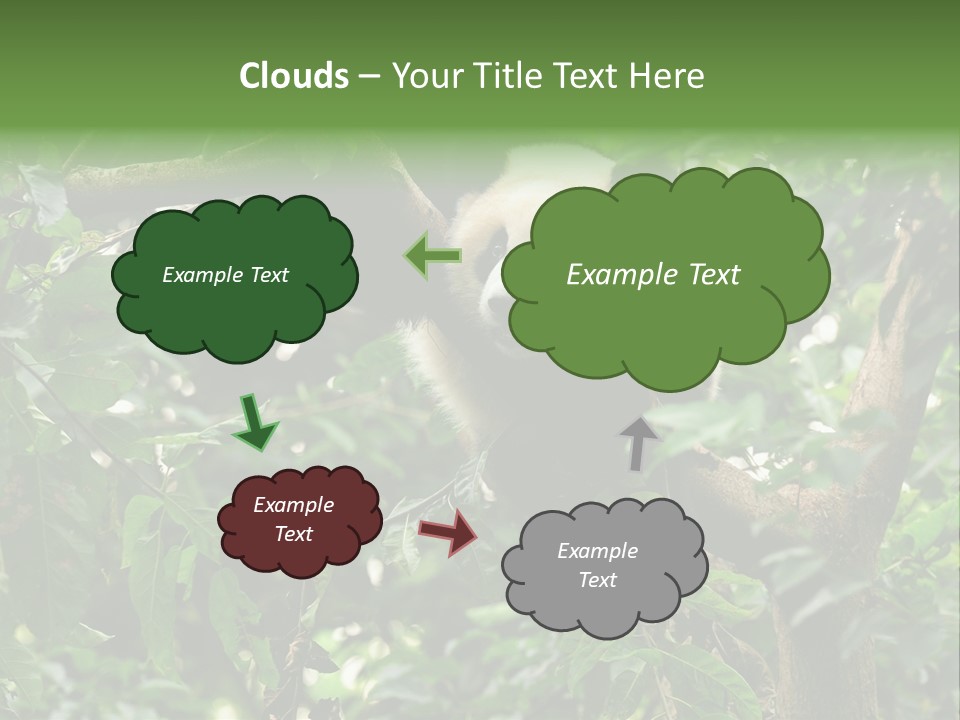 Cute Tree Rare PowerPoint Template