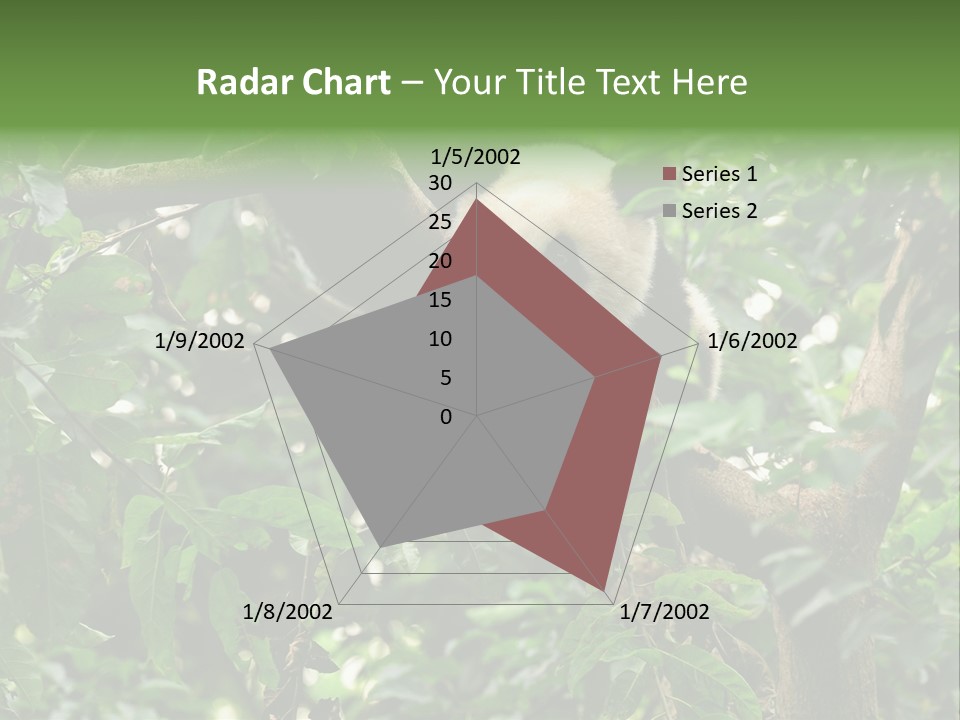 Cute Tree Rare PowerPoint Template