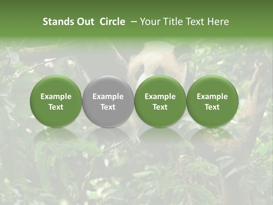 Cute Tree Rare PowerPoint Template