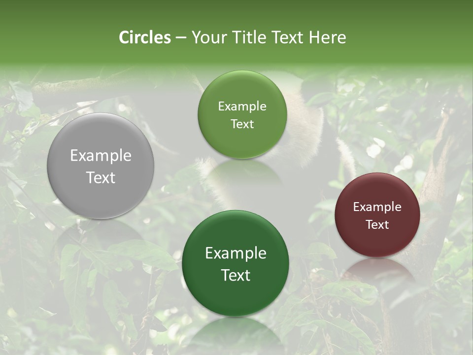 Cute Tree Rare PowerPoint Template