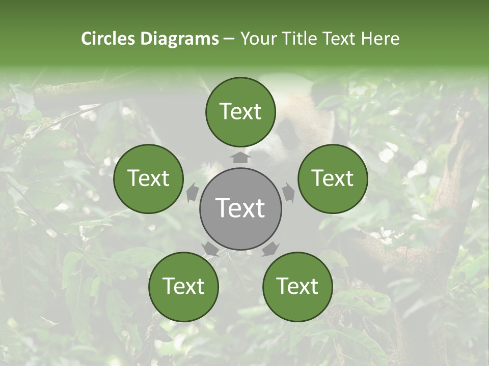 Cute Tree Rare PowerPoint Template