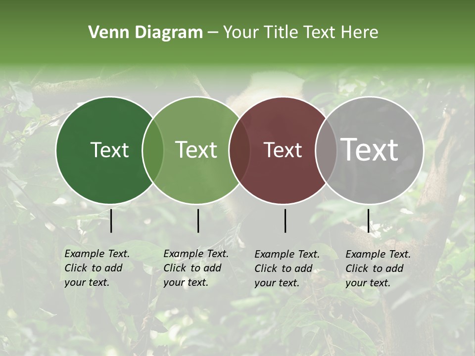 Cute Tree Rare PowerPoint Template