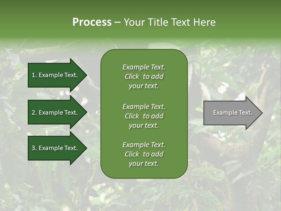 Cute Tree Rare PowerPoint Template