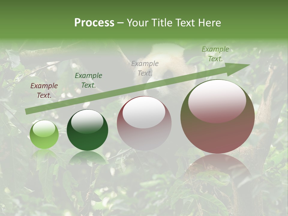 Cute Tree Rare PowerPoint Template