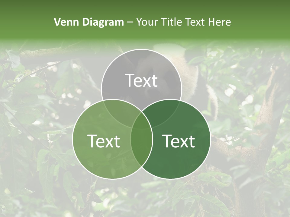 Cute Tree Rare PowerPoint Template