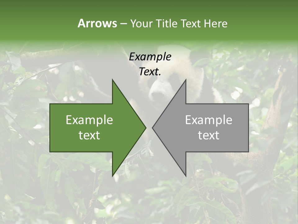 Cute Tree Rare PowerPoint Template