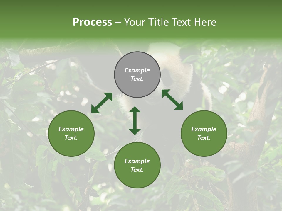 Cute Tree Rare PowerPoint Template