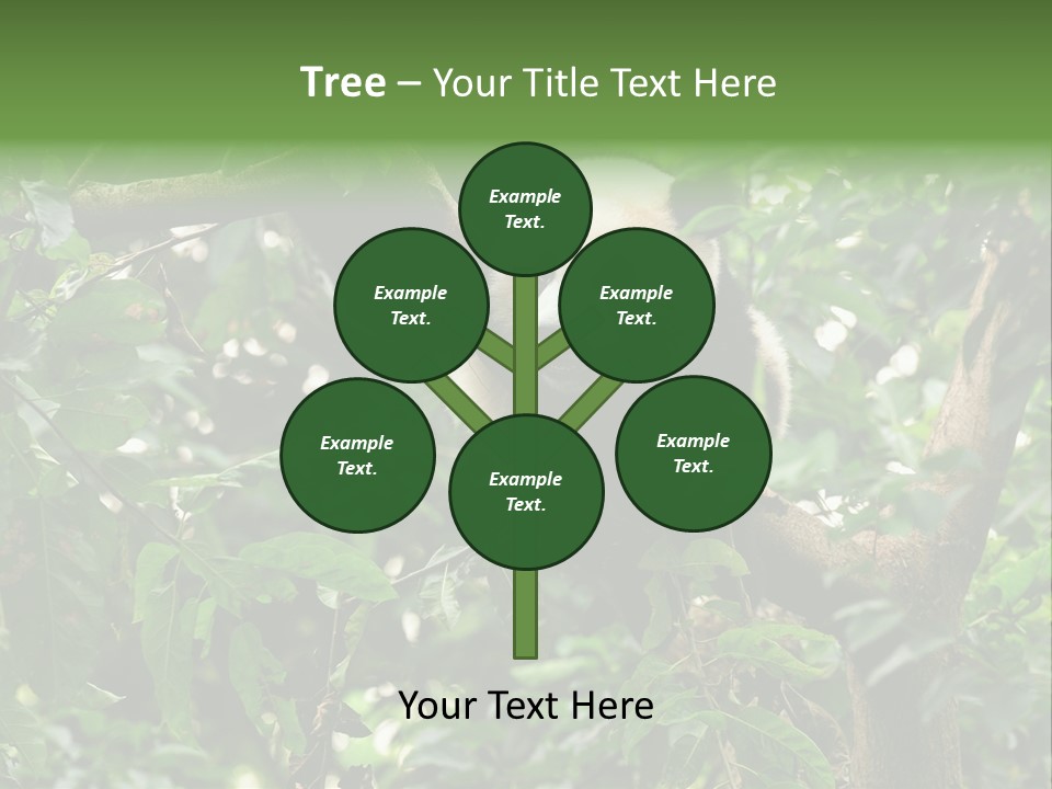 Cute Tree Rare PowerPoint Template