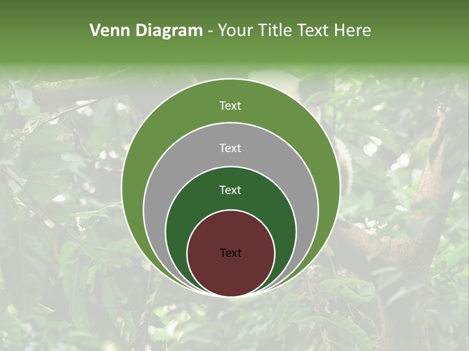 Cute Tree Rare PowerPoint Template