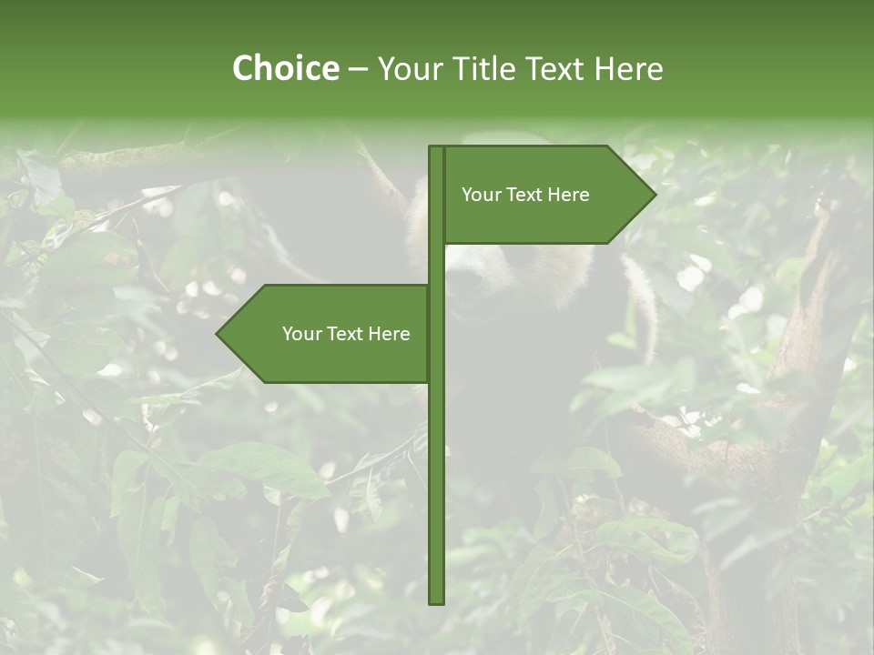 Cute Tree Rare PowerPoint Template