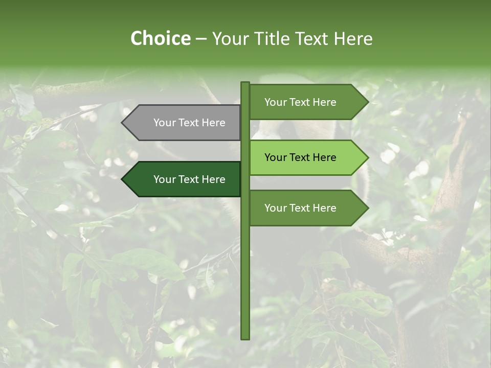 Cute Tree Rare PowerPoint Template