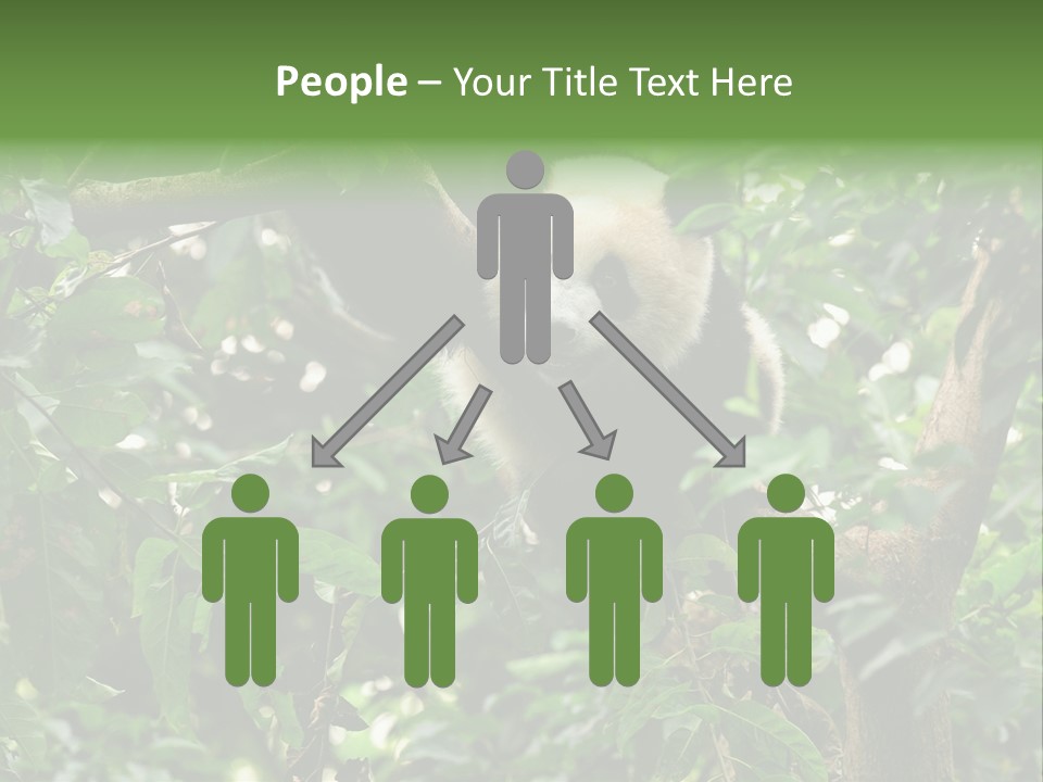Cute Tree Rare PowerPoint Template