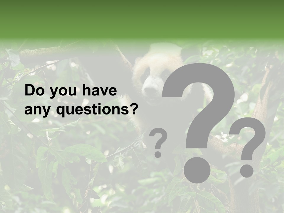 Cute Tree Rare PowerPoint Template