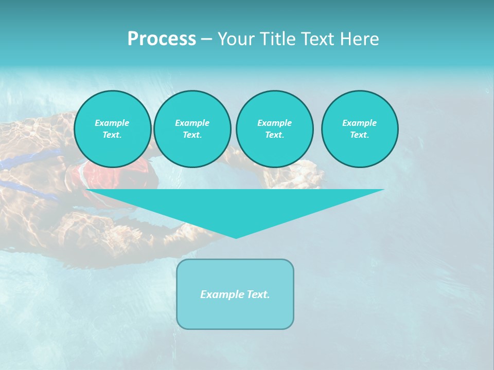 Champion Competition Picture PowerPoint Template