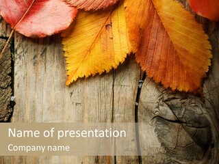 Wooden Copyspace Red PowerPoint Template